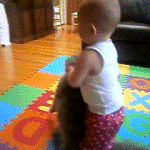 Baby Playing With Cat