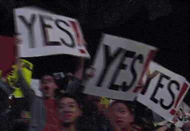 Yes-Signs-Held-By-Fans.gif