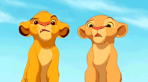 Simba-Nala-Confused-Look-Lion-King.gif