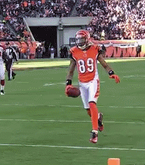 http://gifrific.com/wp-content/uploads/2012/08/Jerome-Simpson-Front-Flip-Over-Defender-for-Touchdown.gif