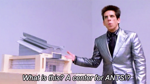 zoolander gif what is this a center for ants