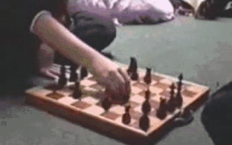 Hamster-Steals-Chess-Piece.gif
