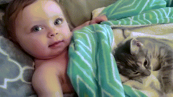 baby-lying-down-with-cat