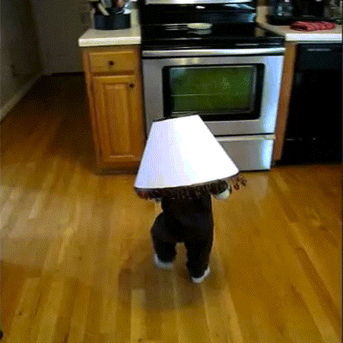 baby-runs-into-oven-with-lampshade-on-head