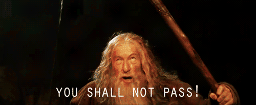 Gandalf You Shall Not Pass Memes Gifs Imgflip